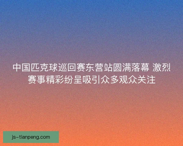 中国匹克球巡回赛东营站圆满落幕 激烈赛事精彩纷呈吸引众多观众关注
