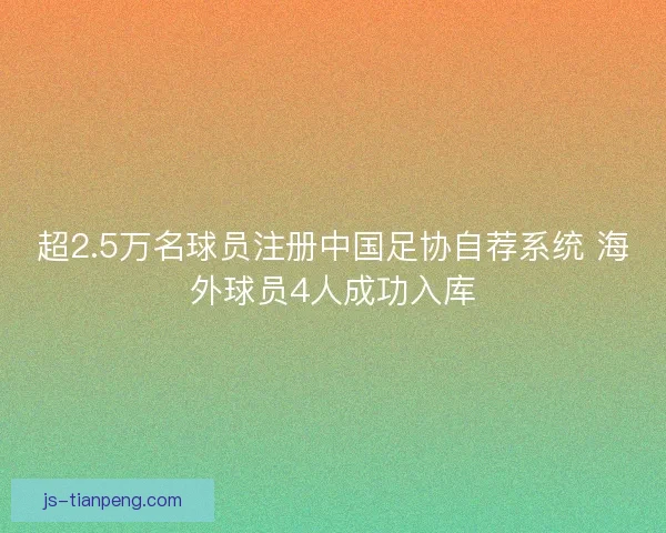 超2.5万名球员注册中国足协自荐系统 海外球员4人成功入库