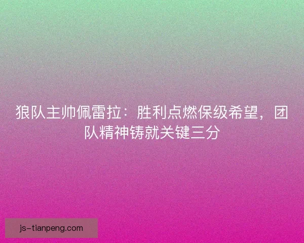 狼队主帅佩雷拉：胜利点燃保级希望，团队精神铸就关键三分